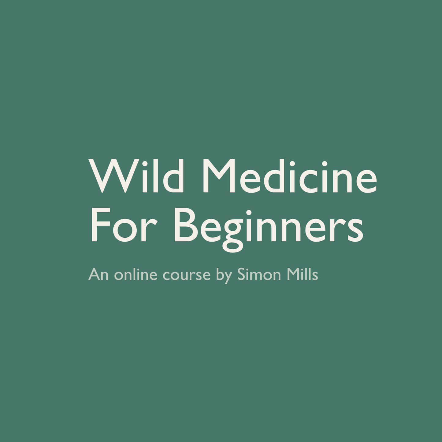 Wild Medicine For Beginners