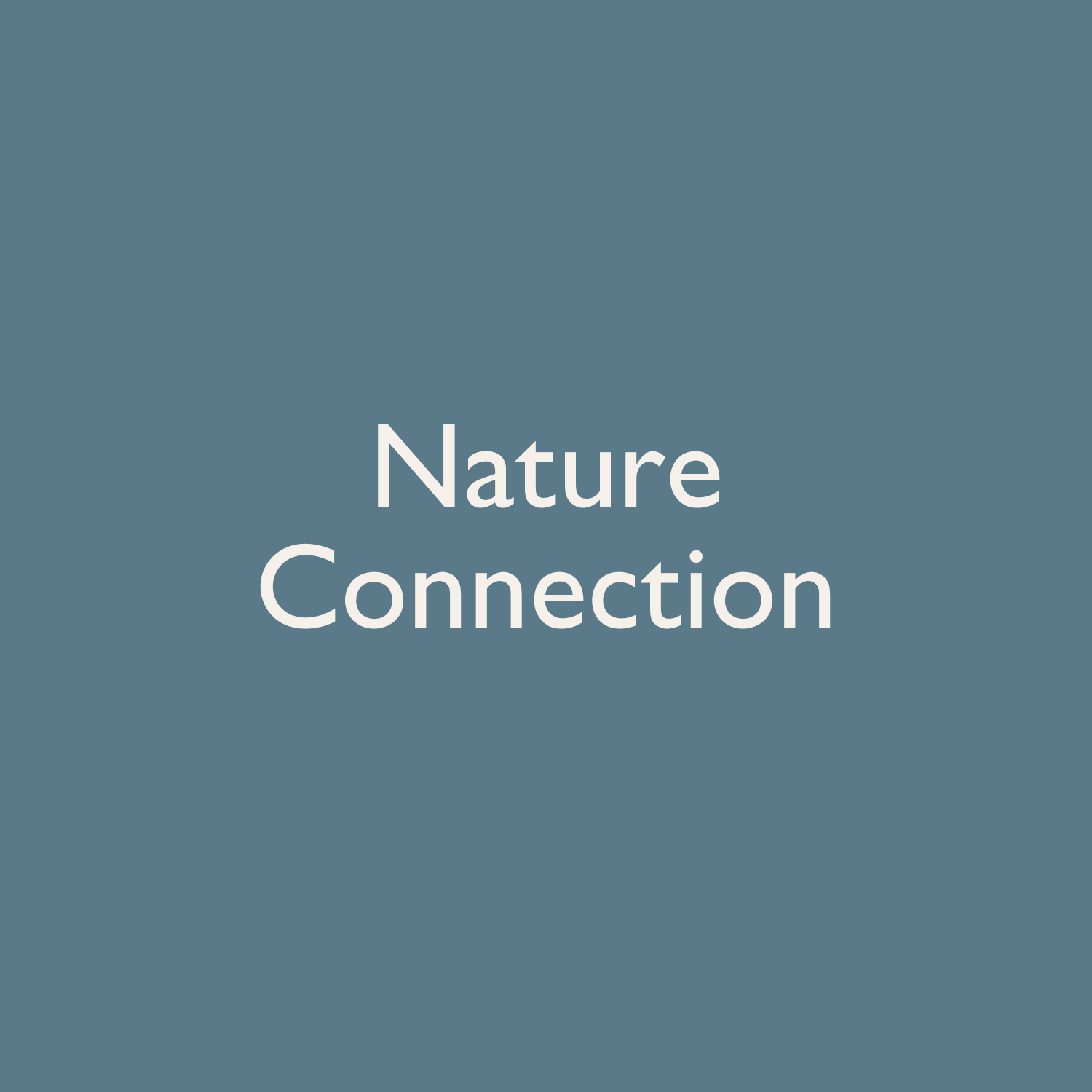 Nature Connection