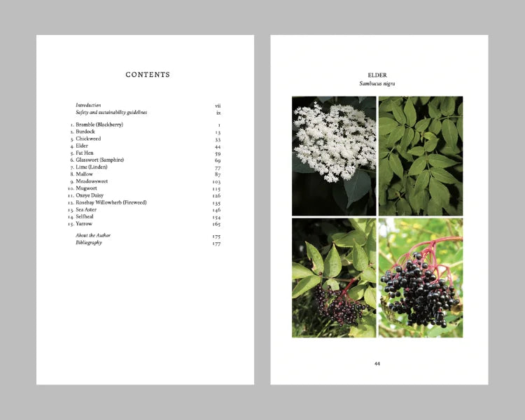 The Eatweeds Seasonal Collection
