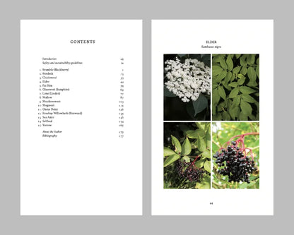 The Eatweeds Seasonal Collection
