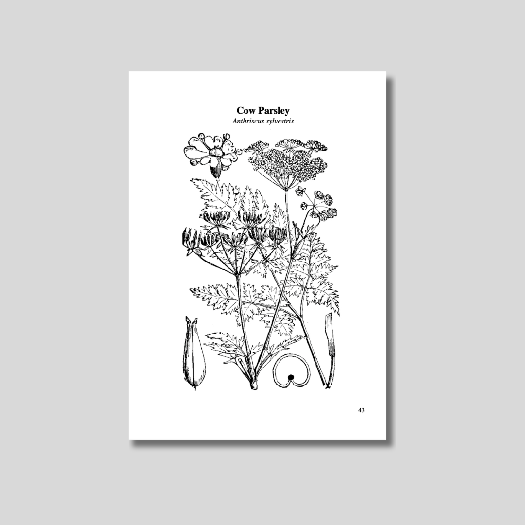 The Eatweeds Cookbook