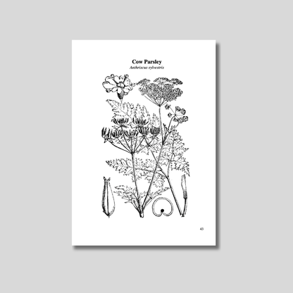 The Eatweeds Cookbook