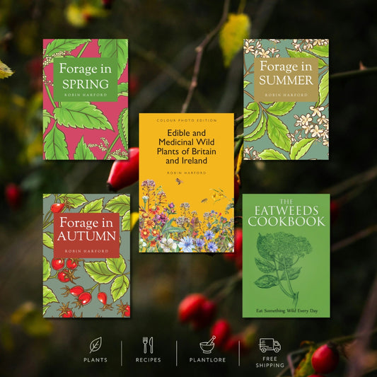 The Eatweeds Foraging Collection (save £30)