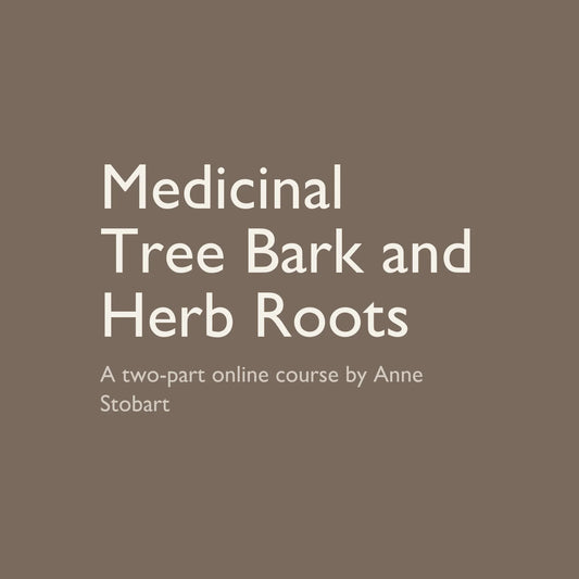 Medicinal Tree Bark and Herb Roots (Live Webinar)