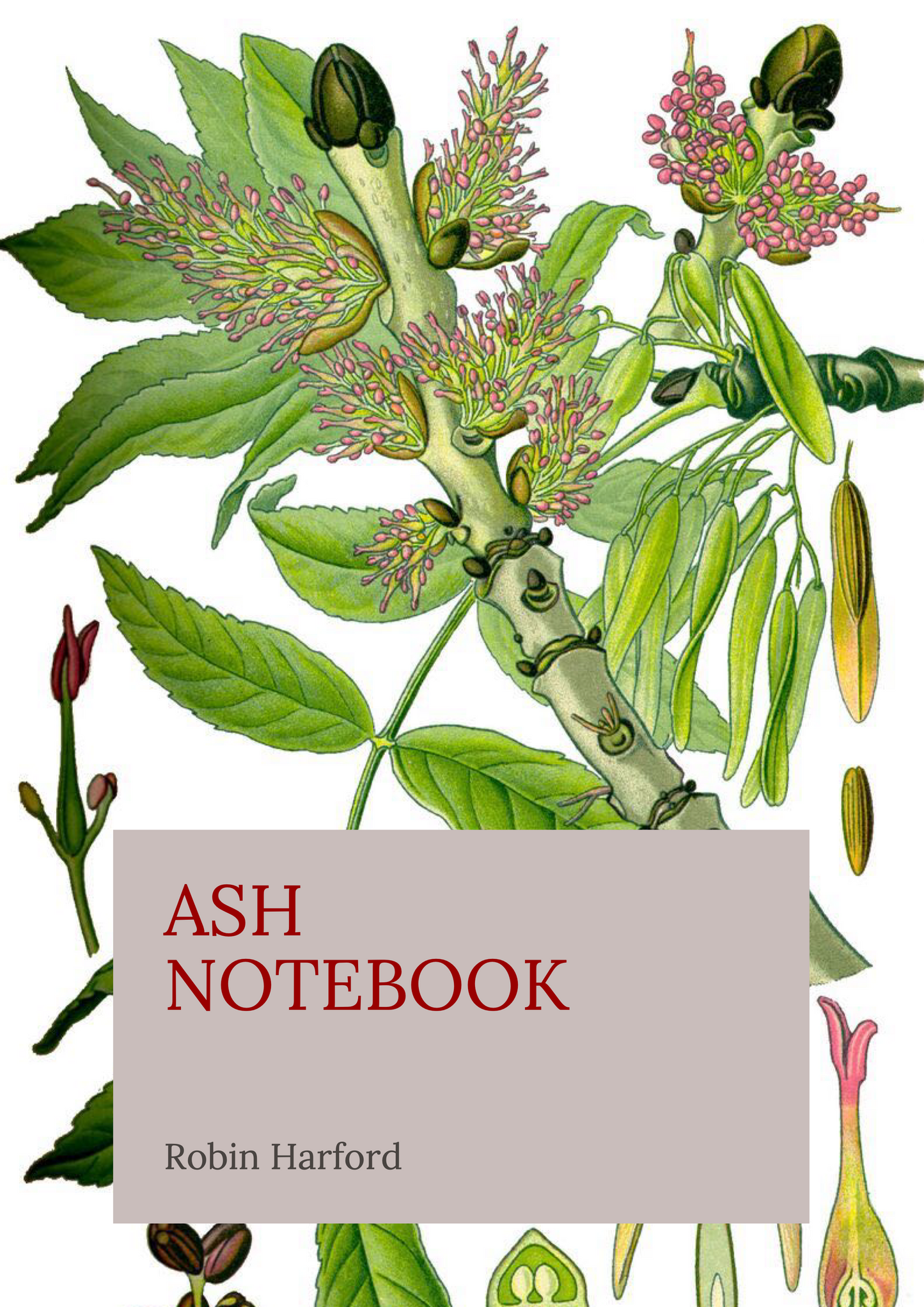 Tree and Shrub Notebook Collection: Folklore, Food, and Medicine