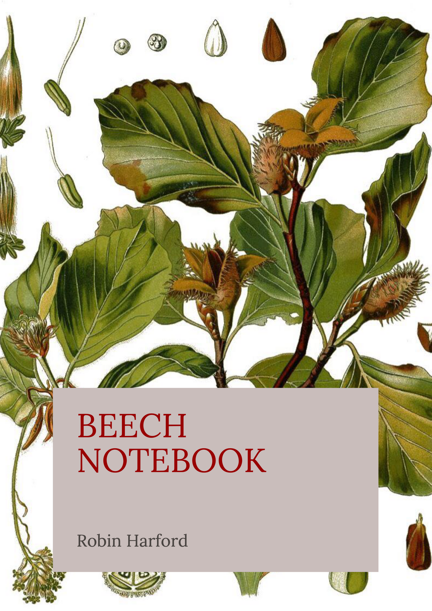 Tree and Shrub Notebook Collection: Folklore, Food, and Medicine