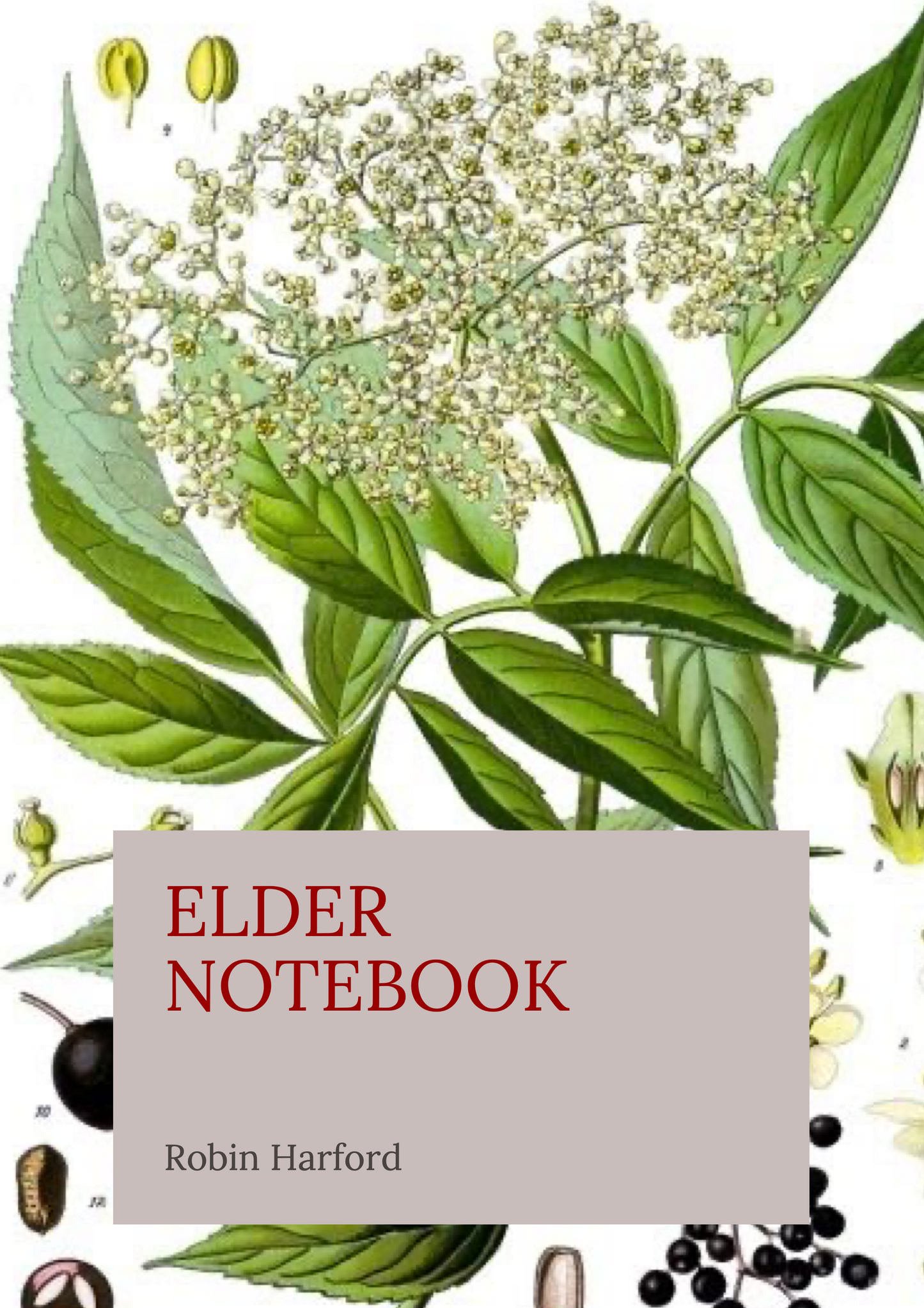 Tree and Shrub Notebook Collection: Folklore, Food, and Medicine