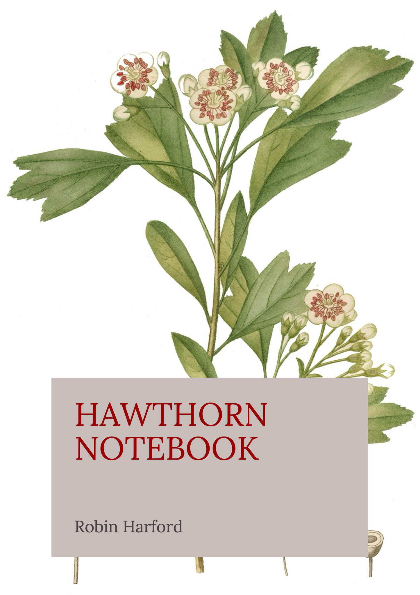 Tree and Shrub Notebook Collection: Folklore, Food, and Medicine