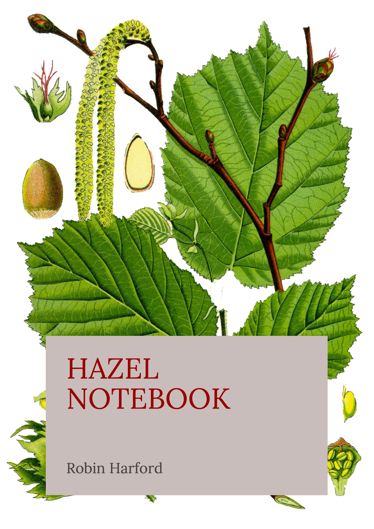 Tree and Shrub Notebook Collection: Folklore, Food, and Medicine