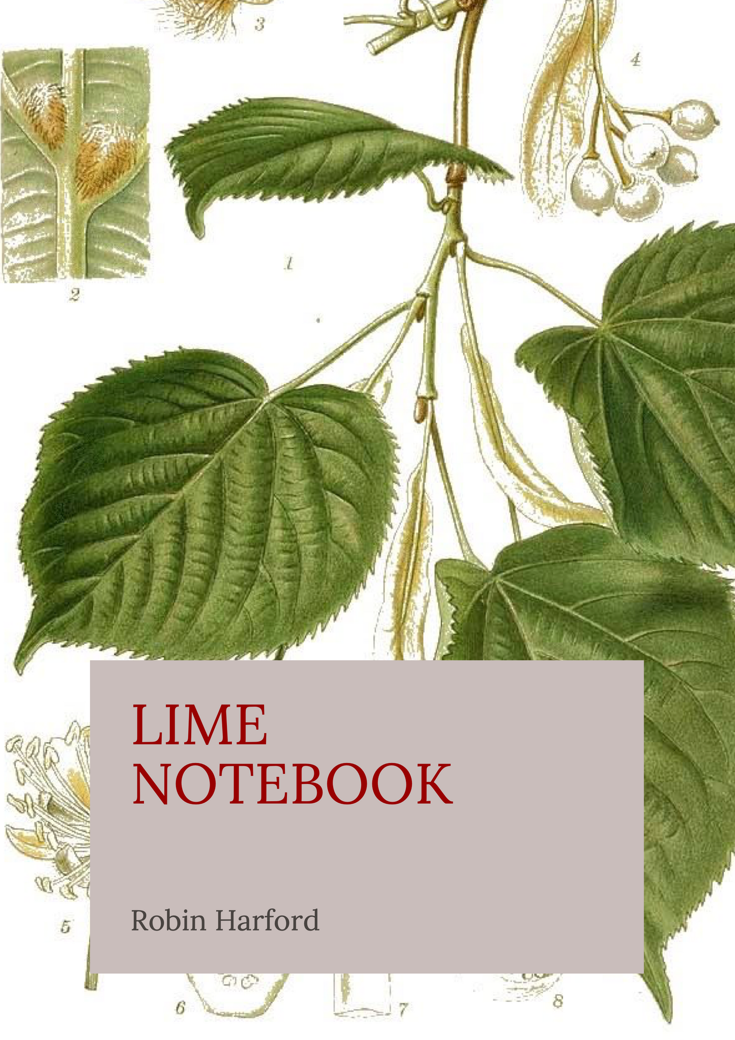 Tree and Shrub Notebook Collection: Folklore, Food, and Medicine