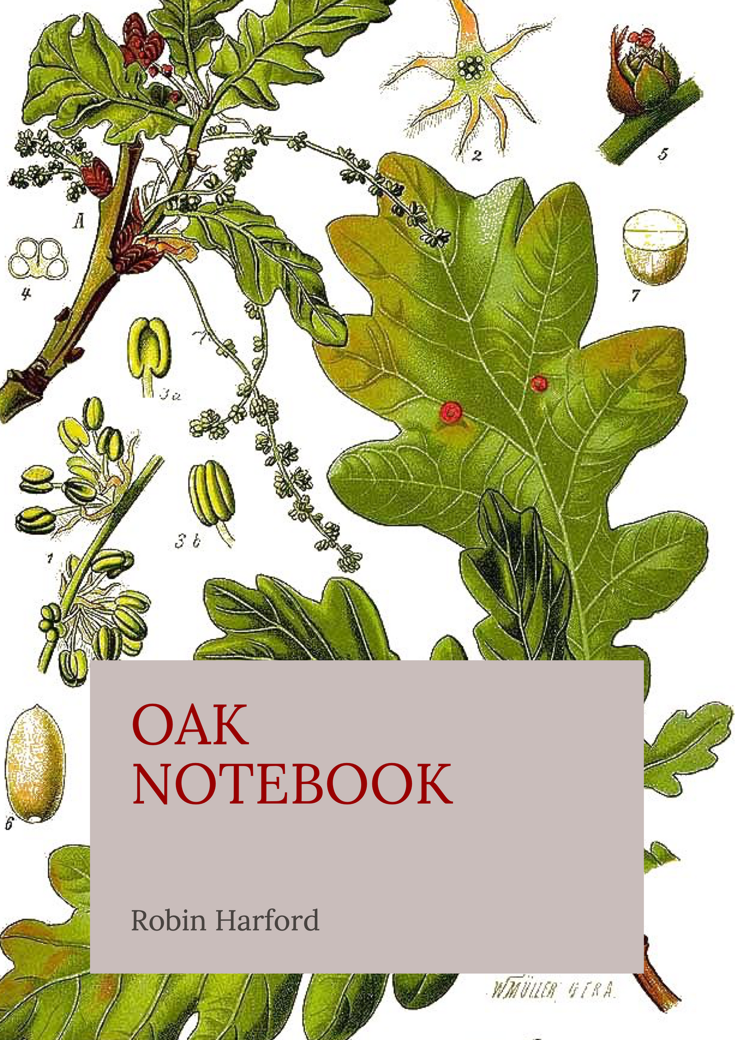 Tree and Shrub Notebook Collection: Folklore, Food, and Medicine