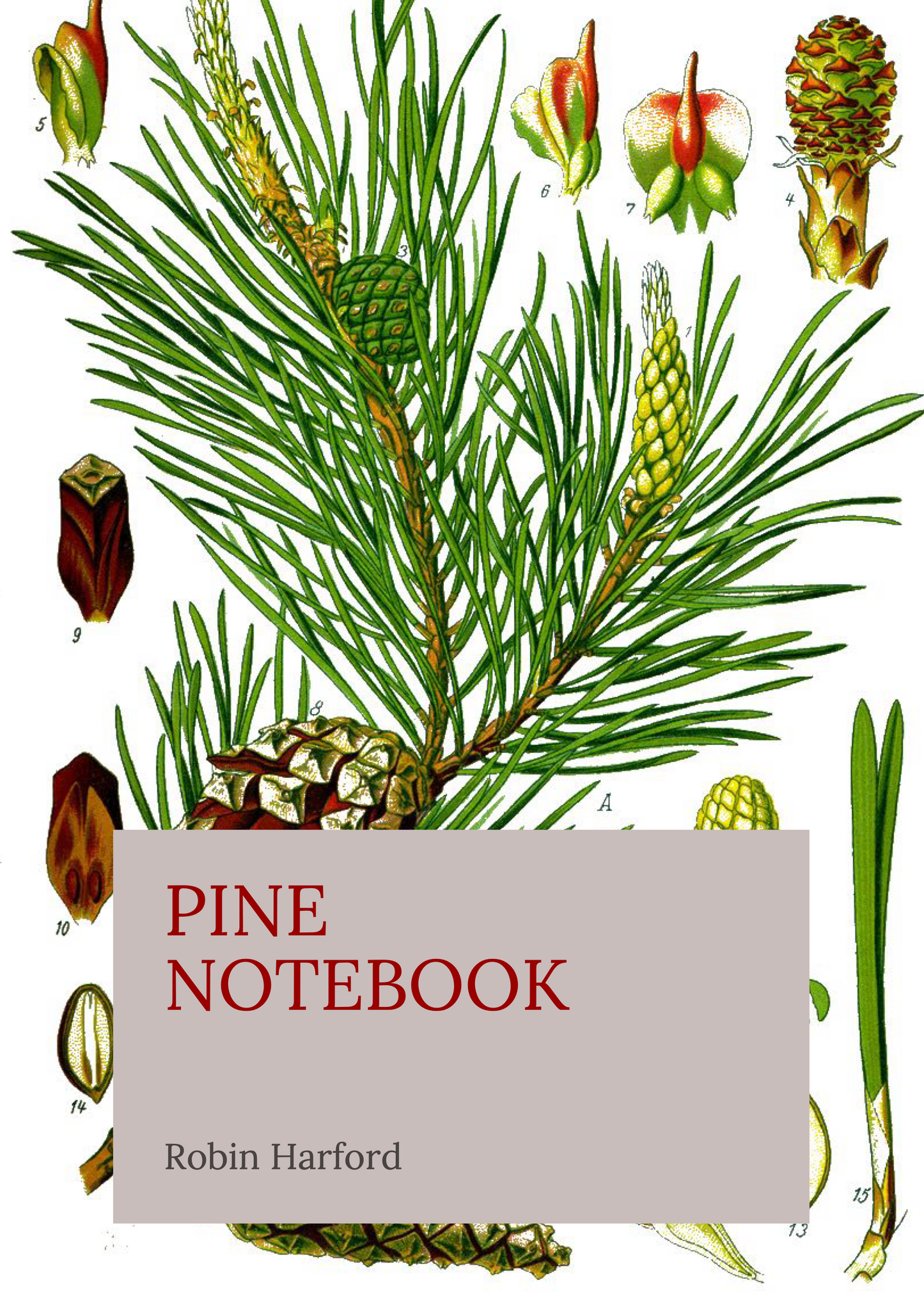 Tree and Shrub Notebook Collection: Folklore, Food, and Medicine