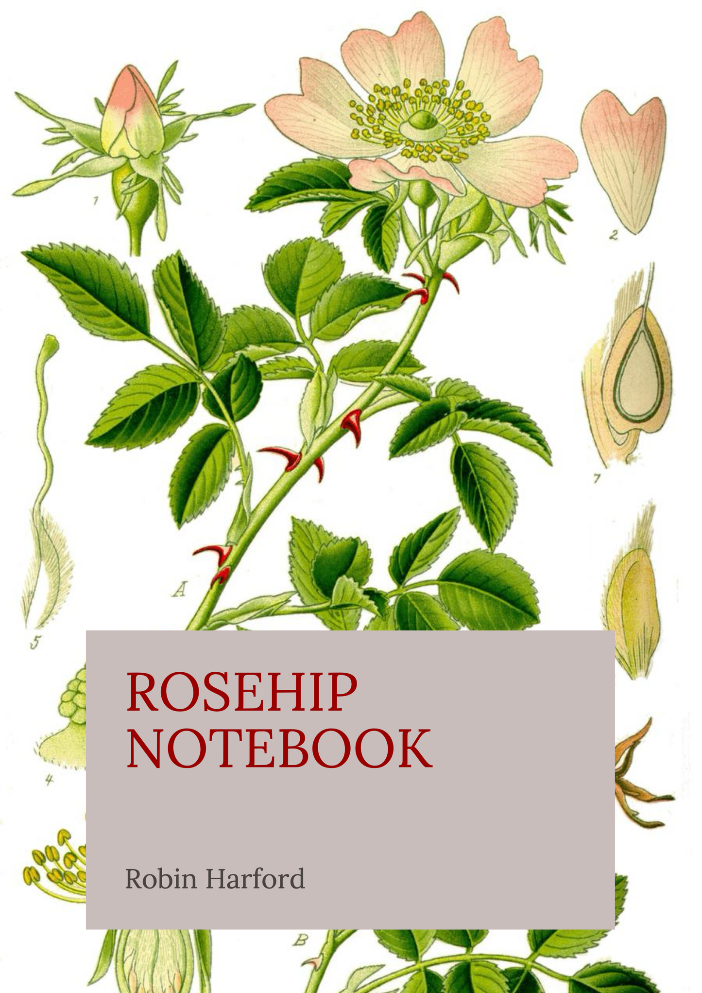 Tree and Shrub Notebook Collection: Folklore, Food, and Medicine
