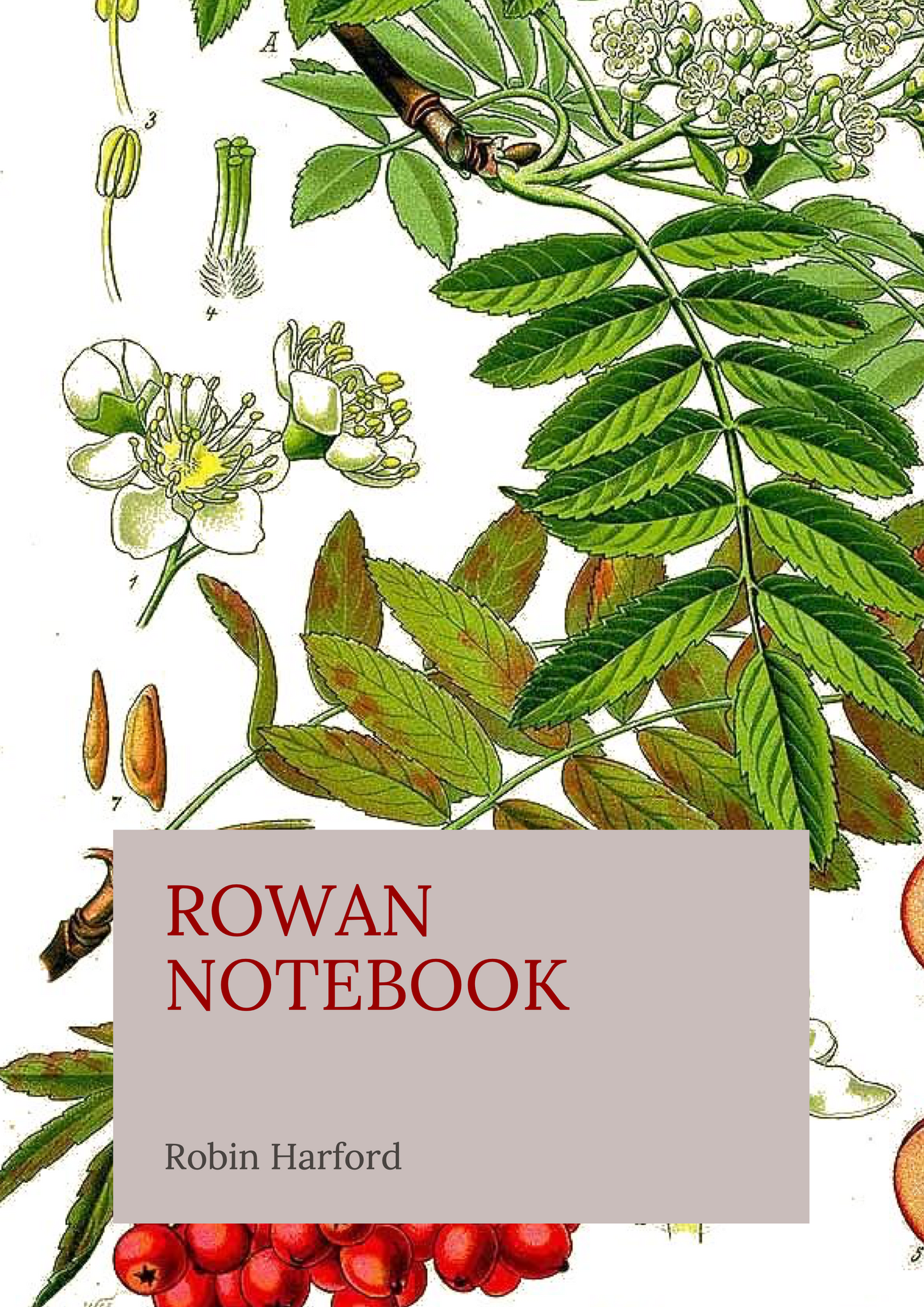 Tree and Shrub Notebook Collection: Folklore, Food, and Medicine