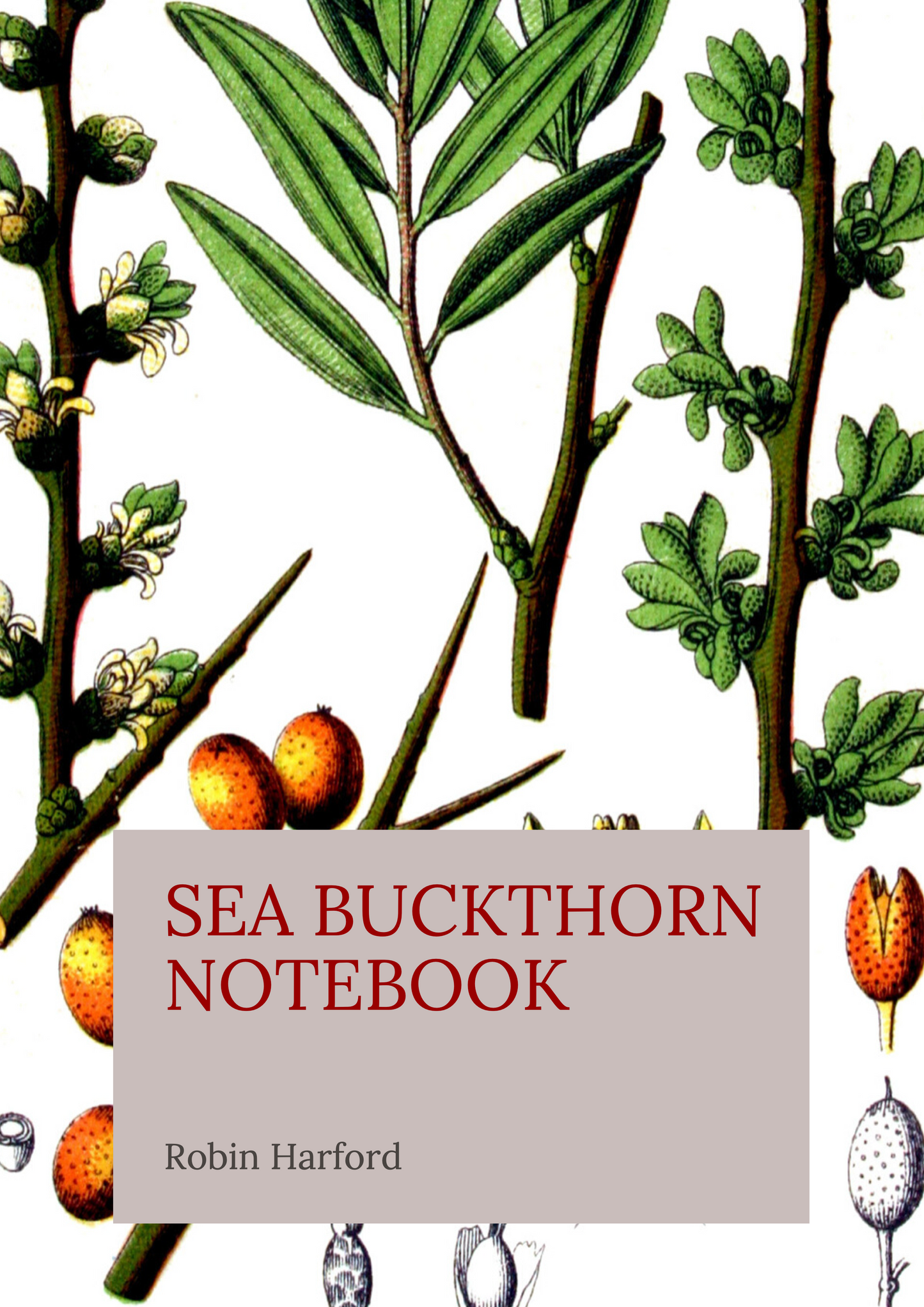 Tree and Shrub Notebook Collection: Folklore, Food, and Medicine