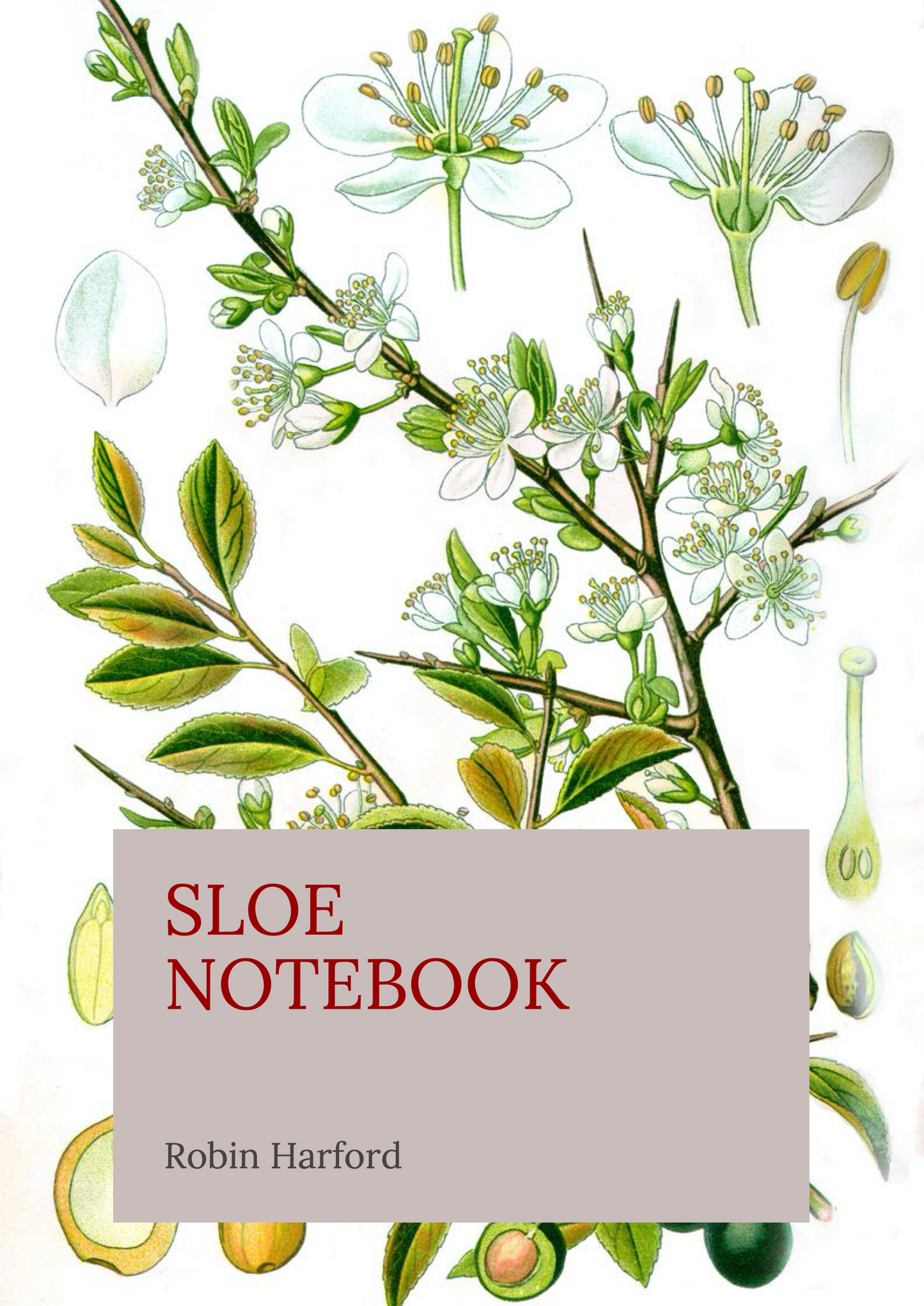 Tree and Shrub Notebook Collection: Folklore, Food, and Medicine