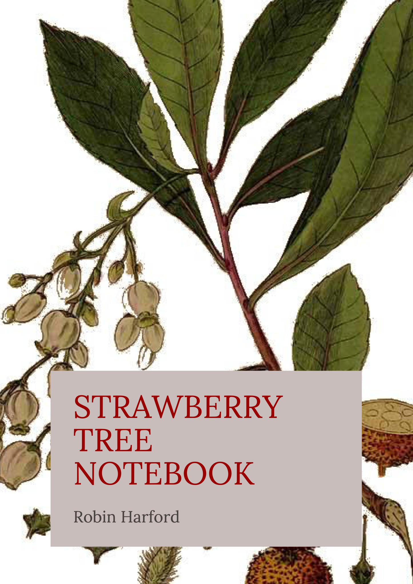 Tree and Shrub Notebook Collection: Folklore, Food, and Medicine