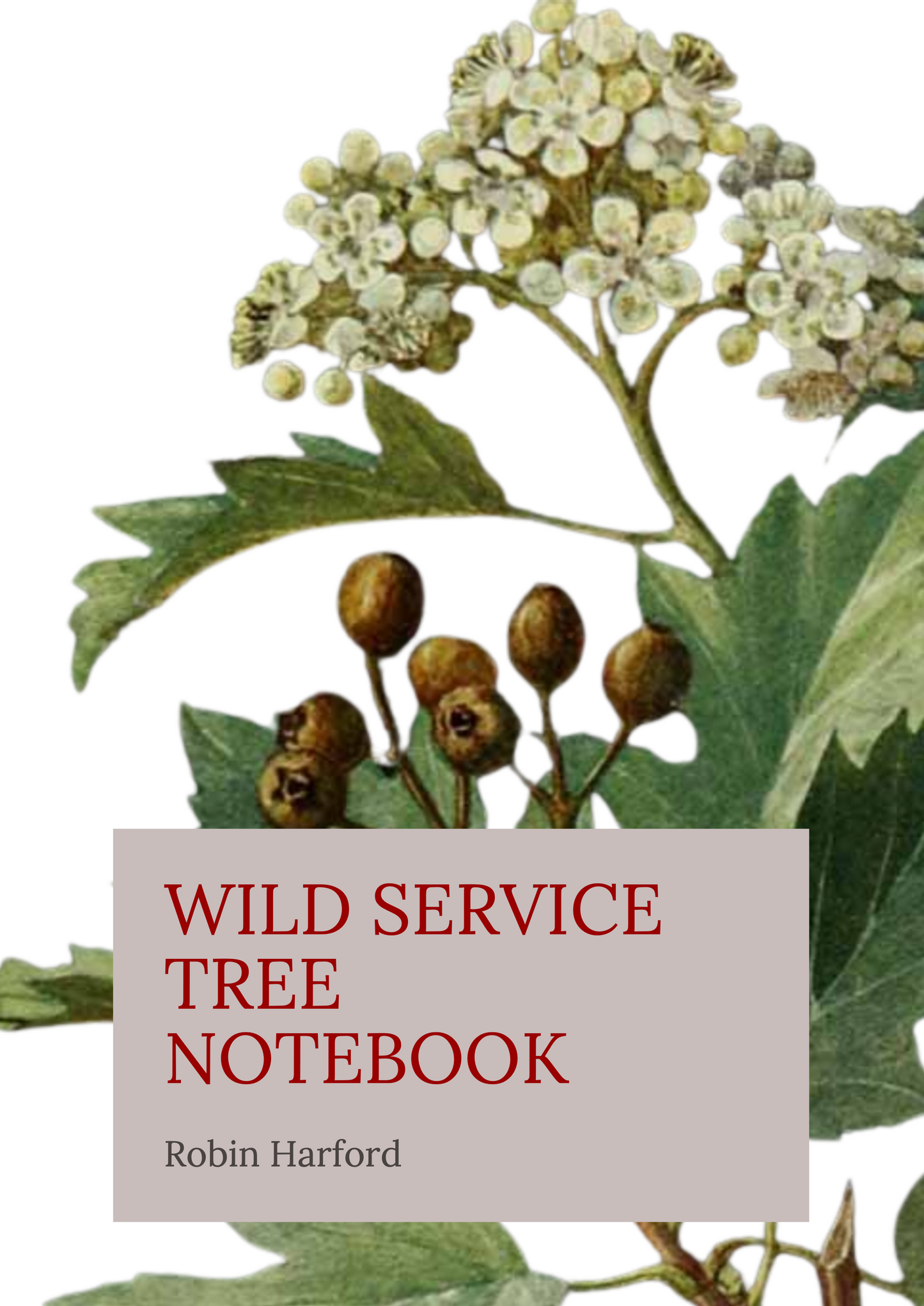 Tree and Shrub Notebook Collection: Folklore, Food, and Medicine