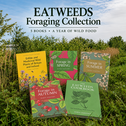 The Eatweeds Foraging Collection (save £30)