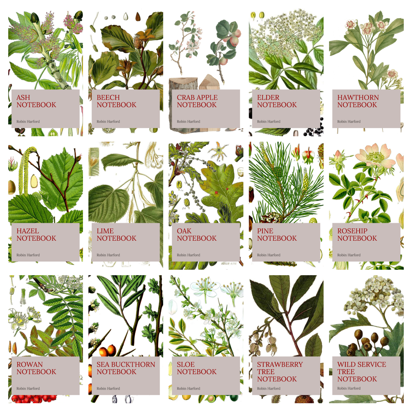 Tree and Shrub Notebook Collection: Folklore, Food, and Medicine