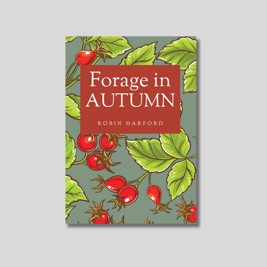 Forage in Autumn: The Food and Medicine of Britain’s Wild Plants