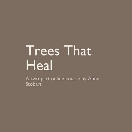 Trees That Heal: A Two-Part Live Online Workshop
