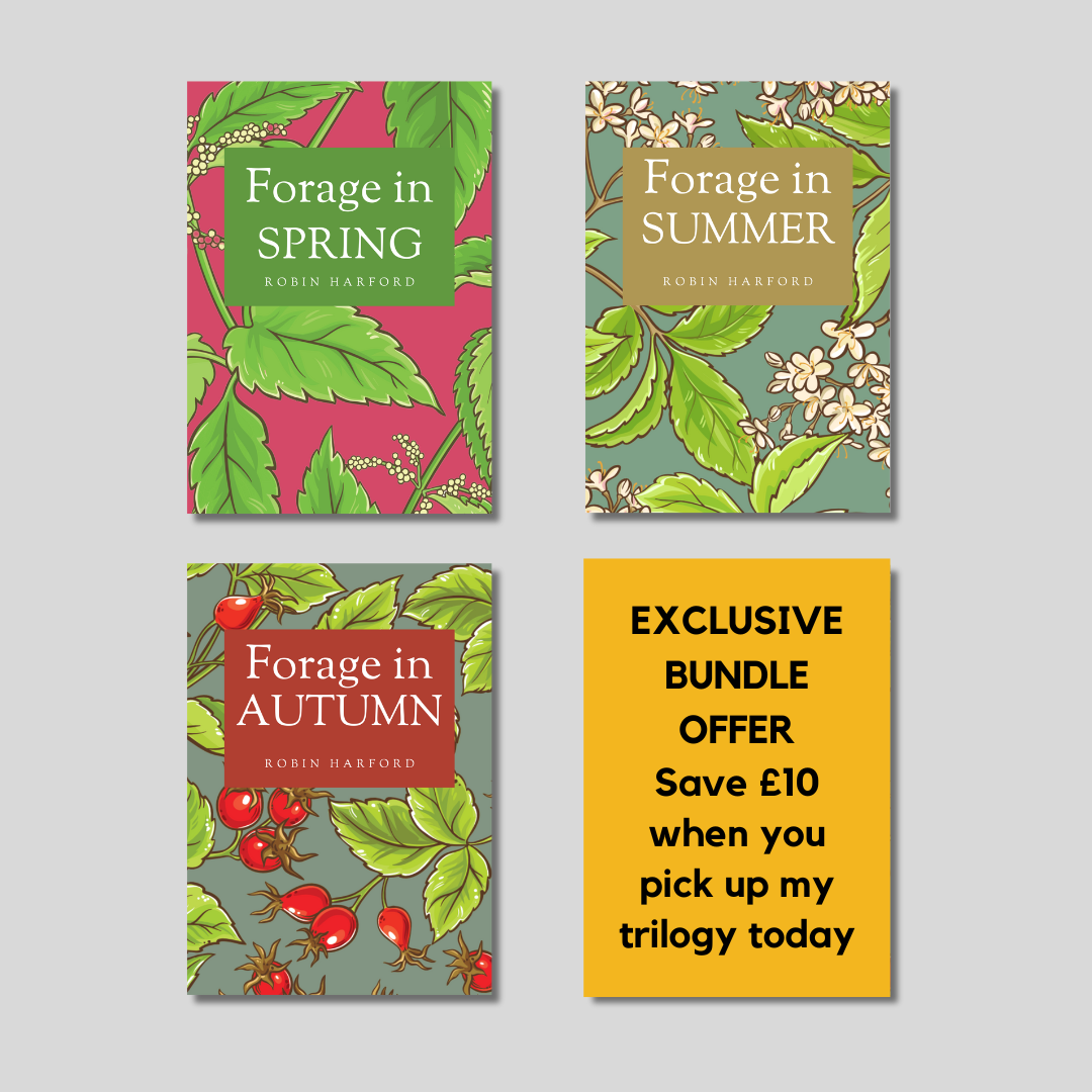 Forage In Spring, Summer and Autumn Bundle