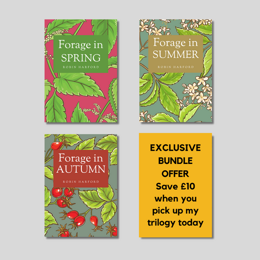 Forage In Spring, Summer and Autumn Bundle