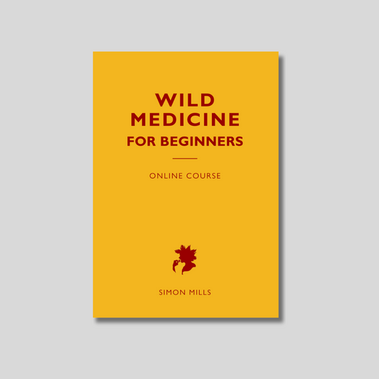 Wild Medicine For Beginners (Online Course)