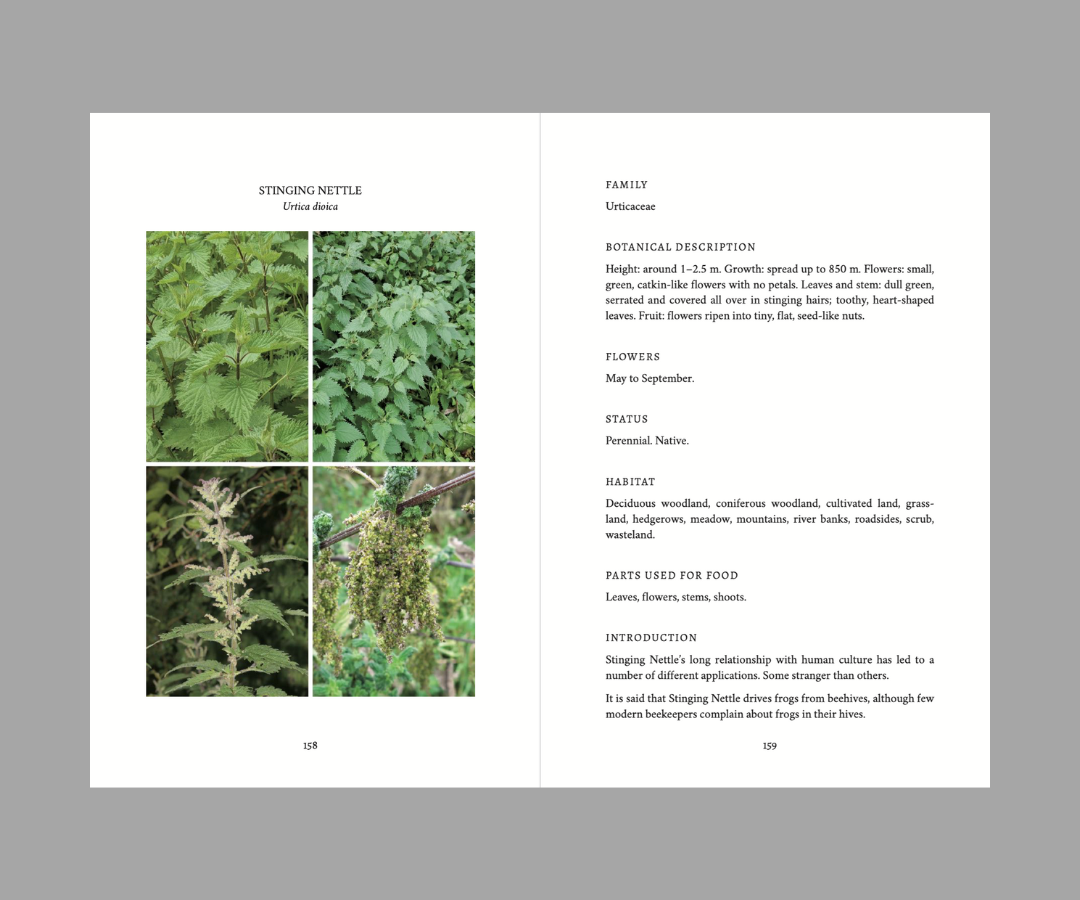 Edible and Medicinal Wild Plants of Britain and Ireland