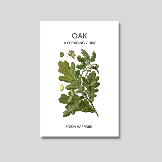 Oak: A Foraging Guide