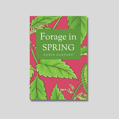 Forage In Spring