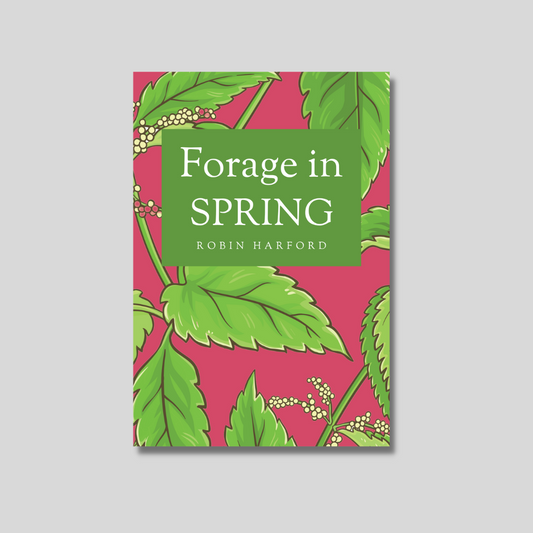 Forage In Spring: The Food and Medicine of Britain’s Wild Plants